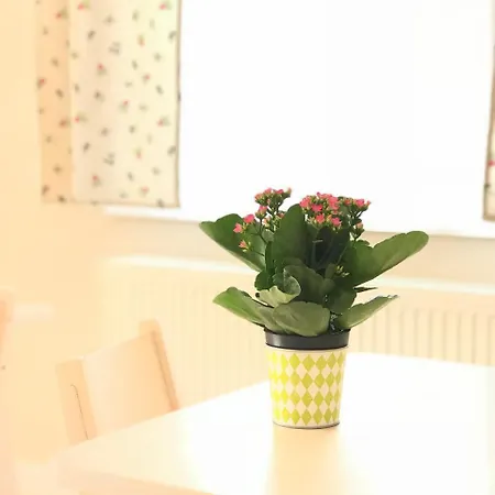 Szep Napot Vendeghaz Tordas