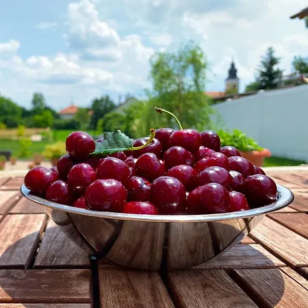 Szep Napot Vendeghaz Gasthof Tordas