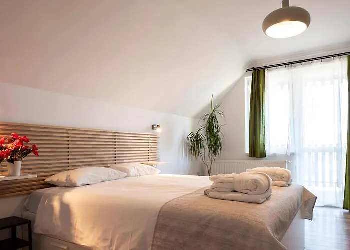 Pensionat Szep Napot Vendeghaz *