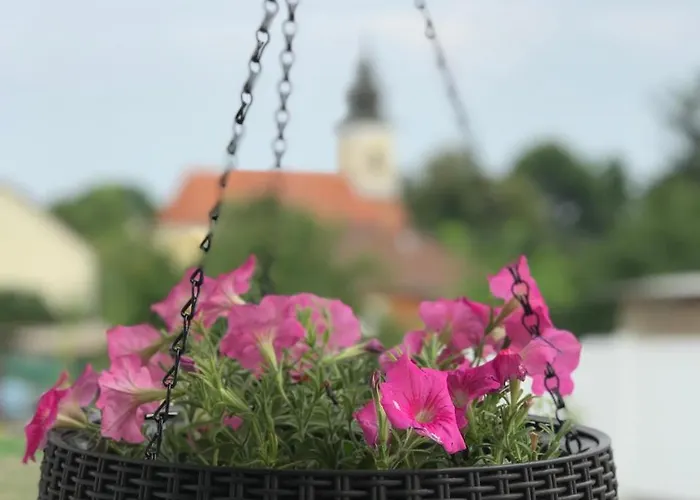 Pensionat Szep Napot Vendeghaz