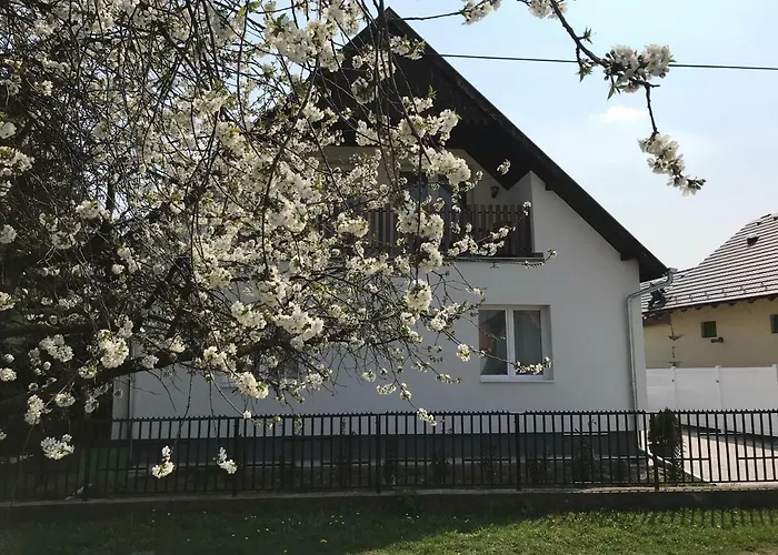 Szep Napot Vendeghaz Pensiune