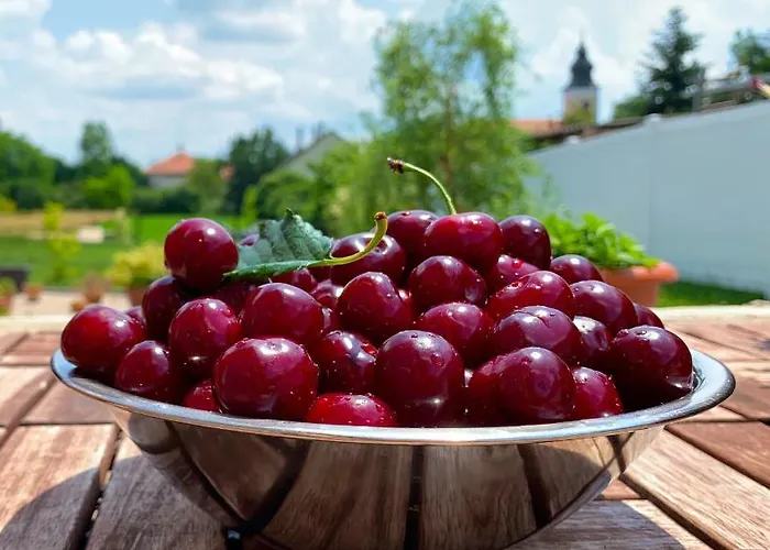 Szep Napot Vendeghaz Pensionat Tordas