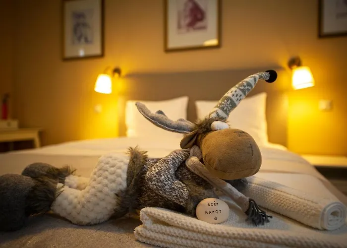 Pensionat Szep Napot Vendeghaz Tordas